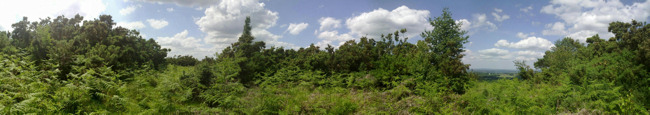 N86 Panorama Example 